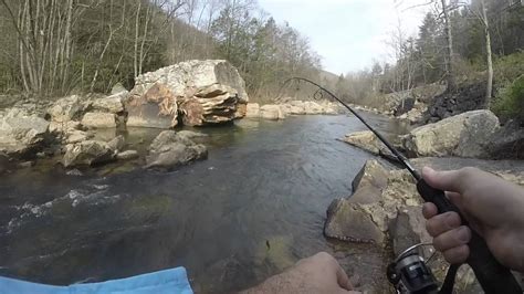 Complete Guide to West Virginia Fishing Licenses.